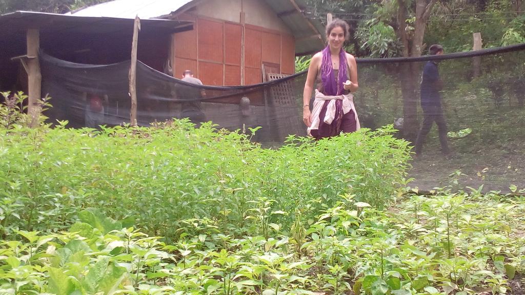 The Local Story Resort Ban Mon Talaeng Eksteriør bilde